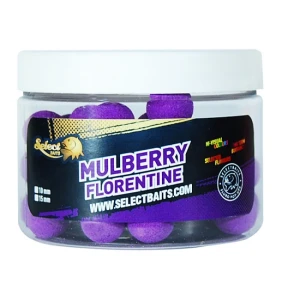 POP-UP SELECT BAITS 12MM PURPPLE MULBERRY
