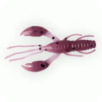 Rac Fanatik Raider 1.6 40mm 021 Plum Uv