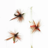 Set Muste Mostiro Legate Nr.16 0.14mm