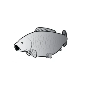 Sticker Delphin Crap SILVER 