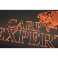 Husa Rigida Lansete cu Mulineta Carp Expert 2 Compartimente, 145cm