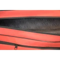 Husa Rigida Lansete cu Mulineta Carp Expert 2 Compartimente, 165cm