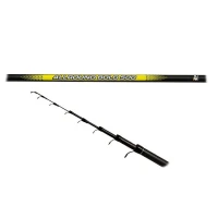 Lanseta Benzar Bologneza Allround Bolo 5.00m 5-20g