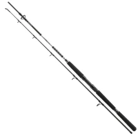 Lanseta Daiwa BG Offshore Pilk 2.10m, 40-125g, 2seg