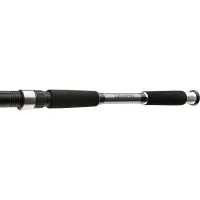 Lanseta Daiwa Seahunter X Variotip 2.70m 30-110g 2+3seg