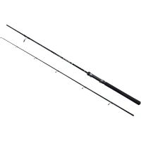 Lanseta Energofish Wizard Active Spin, 2.40m, 20-50g, 2seg