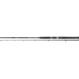 Lanseta Cormoran Big Cat Pro Boat 2.40m, 80-400g, 2seg