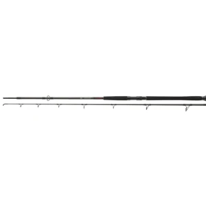 Lanseta DAIWA EXCELER CATFISH BOJE 2.70M 200-600G  2seg