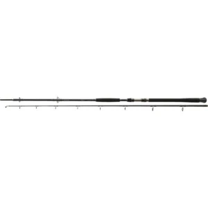 Lanseta Daiwa Exceler Catfish Spin, 2.40m, 185g, 2buc