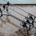 Rod Pod Avid Carp Lok Down Low 3 posturi