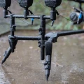 Rod Pod Avid Carp Lok Down Low 3 posturi