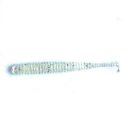  Shad Reins Aji Adder 5cm, culoare Clear Pearl Silver   15buc/plic