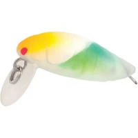 Vobler Rapture Pro Beeatle Area F 28mm 2g Ar