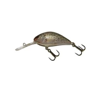 Vobler Salmo Hornet H5f Rcr 5cm/7g