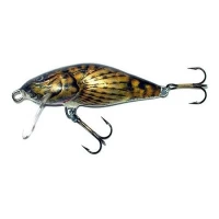 Vobler Salmo Bullhead Bd6f, Bd, 6cm, 6g