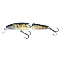 Vobler Salmo Fanatic If7f Rg 7 Cm 5 Gr