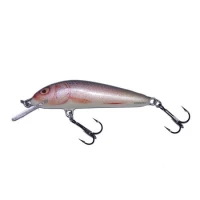 Vobler Salmo Minnow M7f Rr 7cm 6g