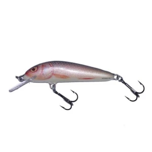 Vobler Salmo Minnow M7F RR 7cm 6g