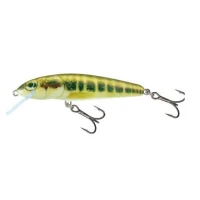 Vobler Salmo Minnow M7sdr 7g 7cm M