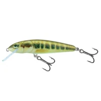 Vobler Salmo Minnow Sinking, Minnow, 6cm, 6g