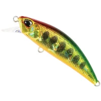 Vobler DUO Spearhead Ryuki 50S, ADA4090 UV RGG Yamame OB, 5cm, 4.5g